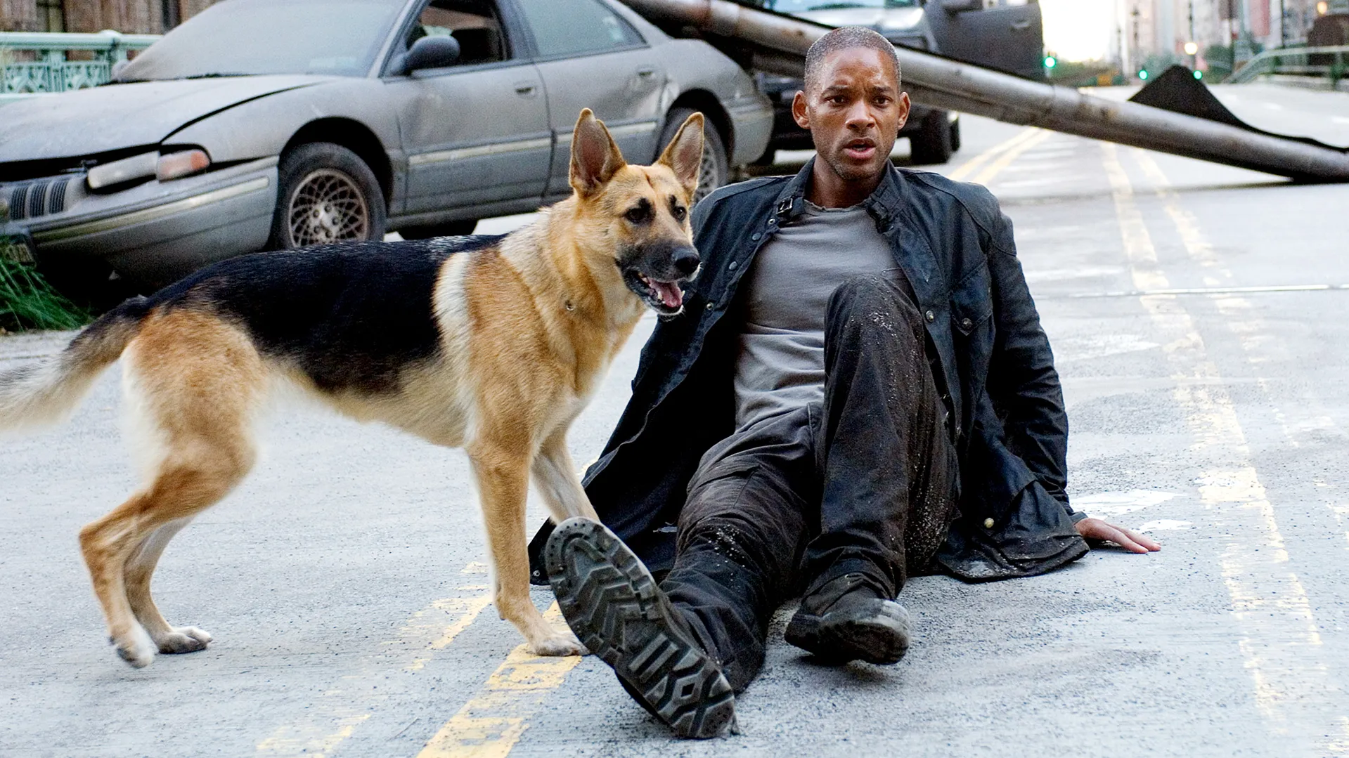 i-am-legend.webp
