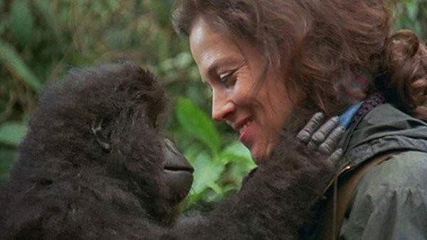 Htio sam biti deveti putnik, ali je Noštromo otišao bez mene: osobna posveta Sigourney Weaver